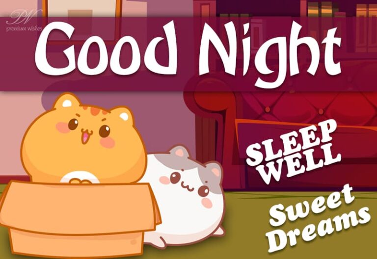 Good Night Wishes