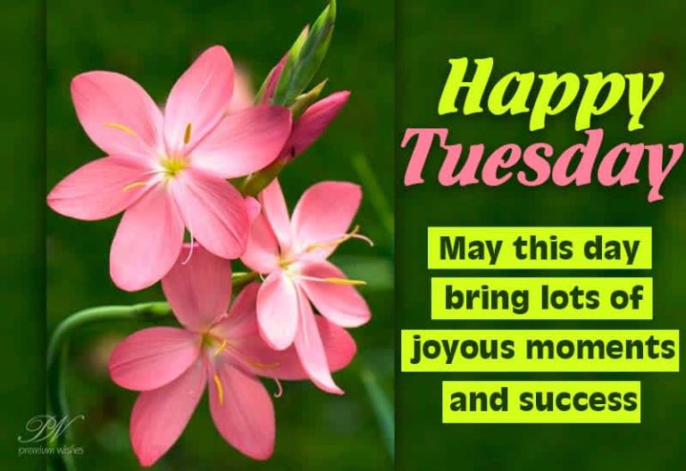 Happy Tuesday – May this day bring lots of joyous moments and success