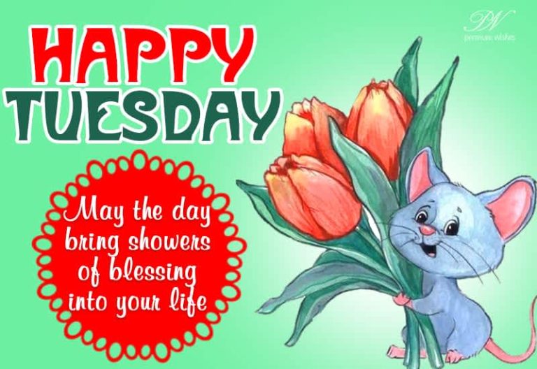 Happy Tuesday – May the day bring showers of blessing into your life