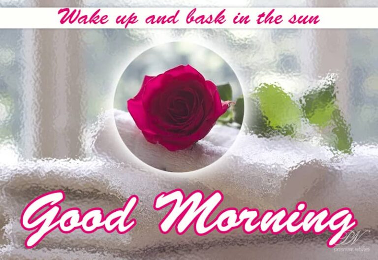 Good Morning – Wake up and bask in the sun