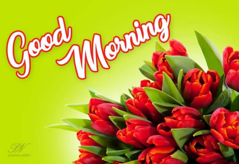 Good Morning – Enjoy the flowers