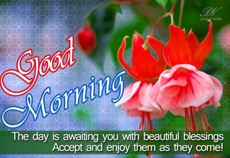 Good Morning – The day is awaiting you with beautiful blessings. Accept and enjoy them as they come