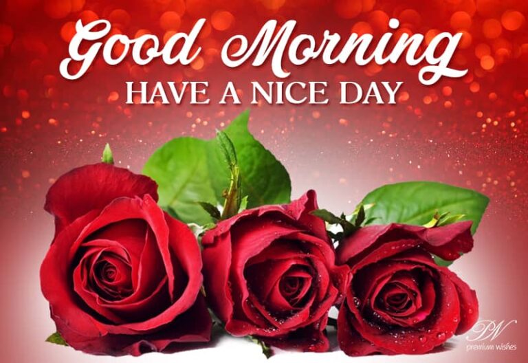 Good Morning – Have a nice day