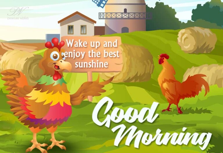 Wake up and enjoy the best sunshine – Good Morning