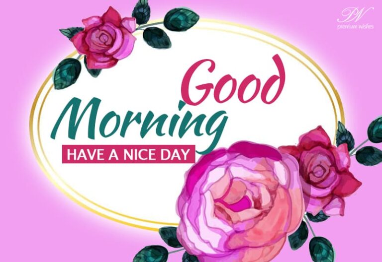 Good Morning Friends – Have a nice day