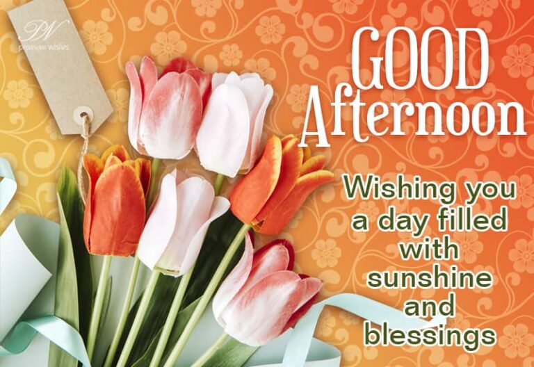Good Afternoon Wishes