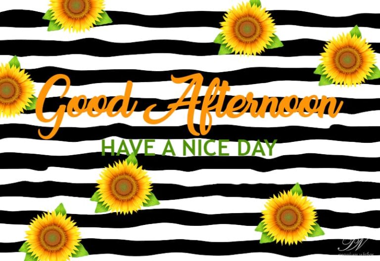 Good Afternoon Wishes