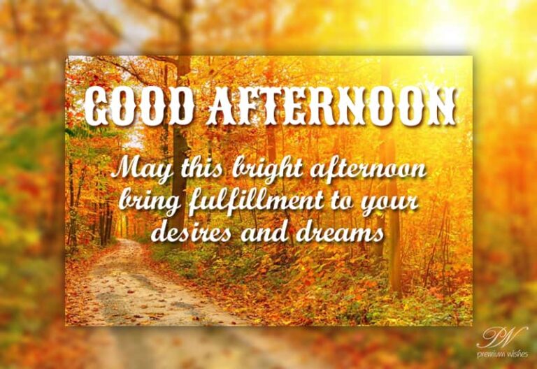 Good Afternoon Wishes