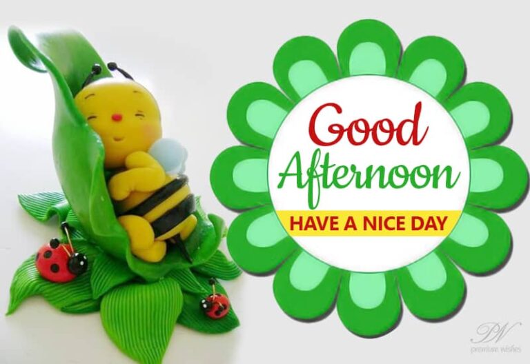 Good Afternoon Wishes