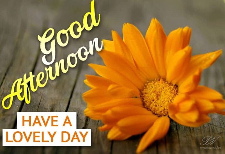 Good Afternoon Wishes