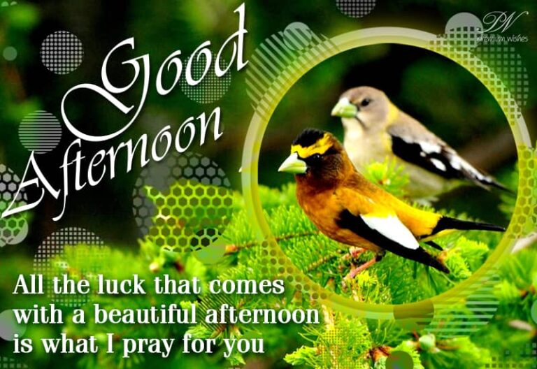 Good Afternoon Wishes