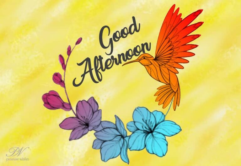 Good Afternoon Wishes