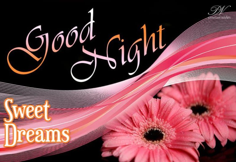 Good Night Wishes