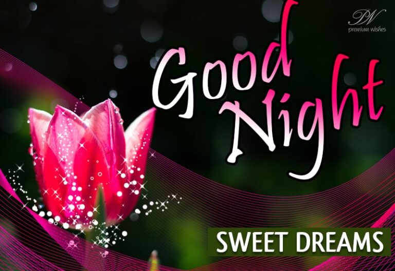 Good Night Wishes