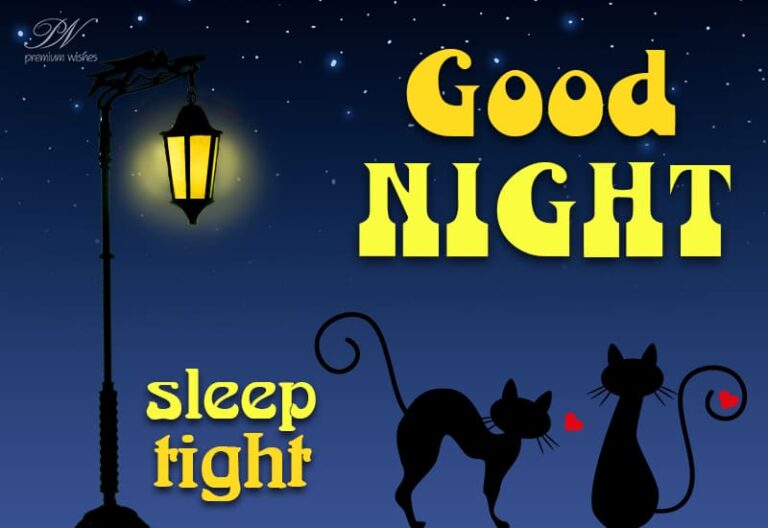 Good Night Wishes