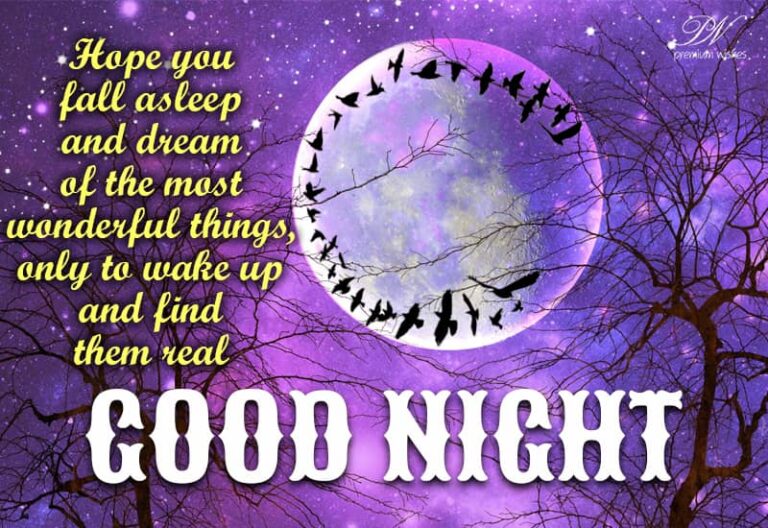 Good Night Wishes