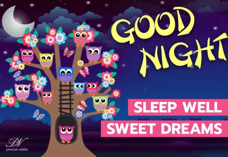 Good Night Wishes