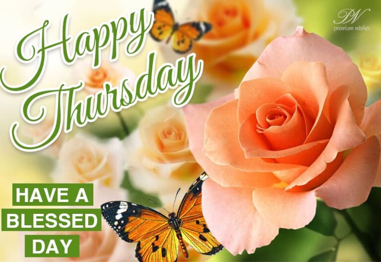 Happy Thursday – Have a blessed day