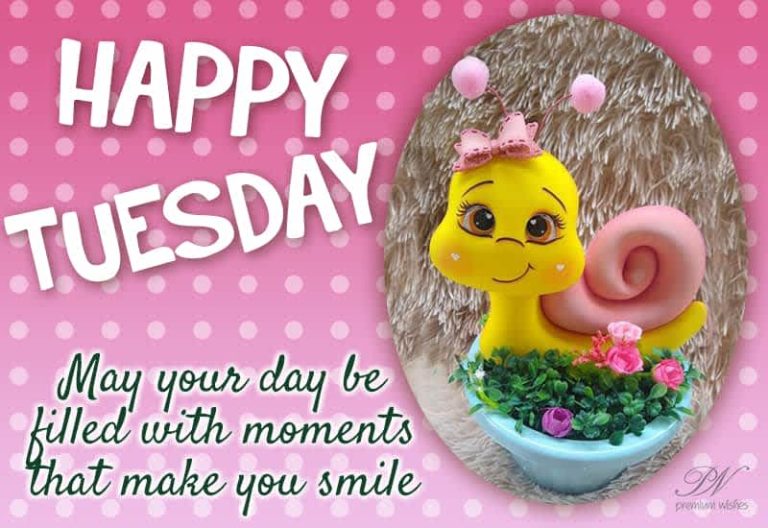 Happy Tuesday  May your day be filled with moments that make you smile