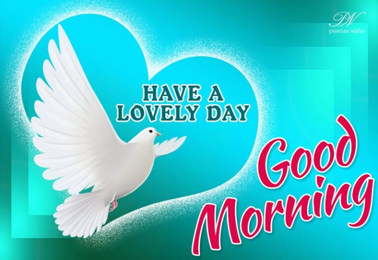 Have a lovely morning