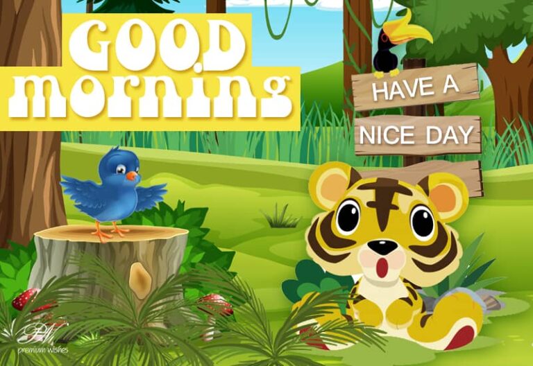 Have a nice morning today