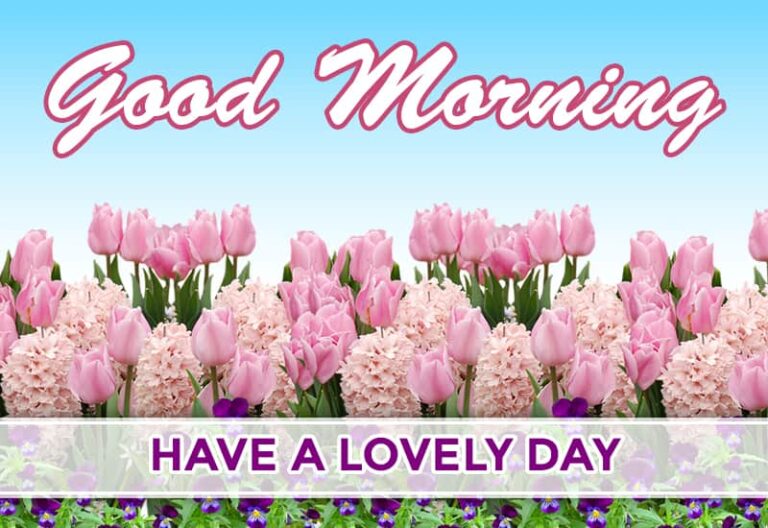 Good Morning Have a lovely day