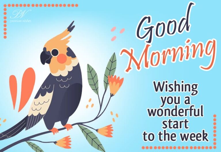 Good Morning – Wishing you a wonderful start to the week