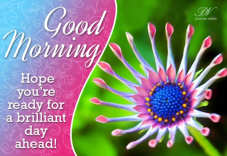 Good Morning – Hope you are ready for a brilliant day ahead