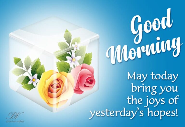 Good Morning – May today bring you the joys of yesterday’s hopes