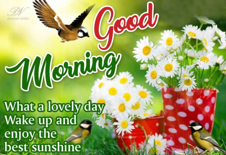 Good Morning – What a lovely day  – Wake up and enjoy the best sunshine