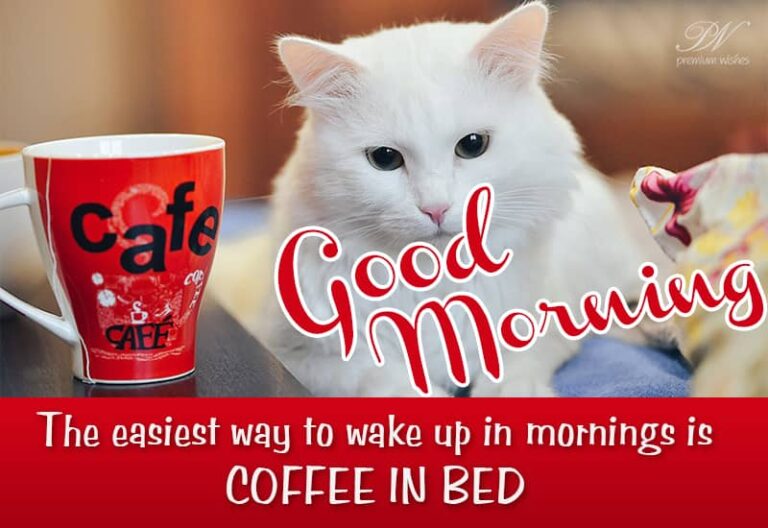 Good Morning – The easiest way to wake up in the morning is coffee in bed