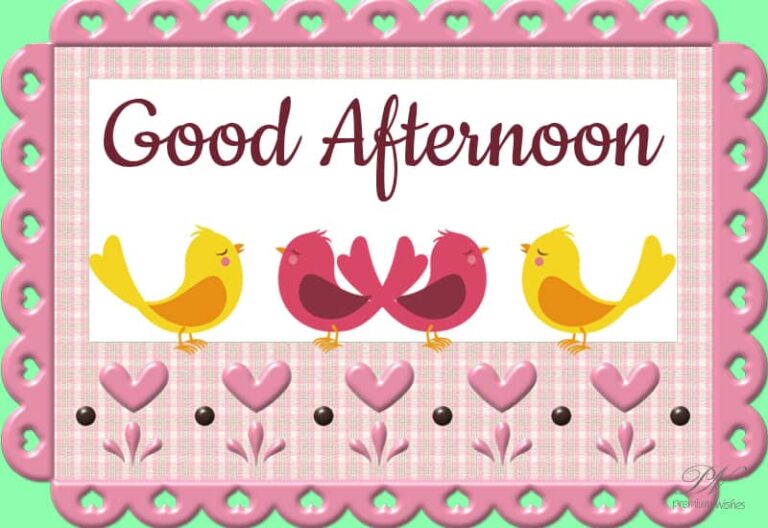 Good Afternoon Wishes