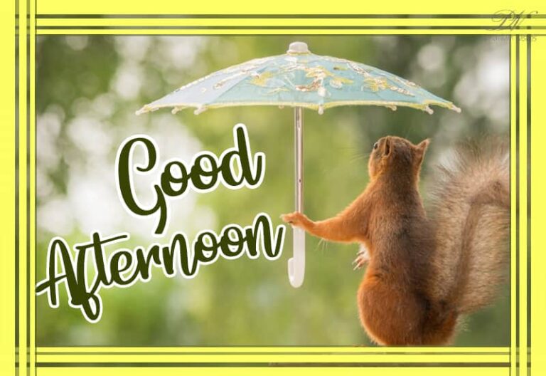 Good Afternoon Wishes