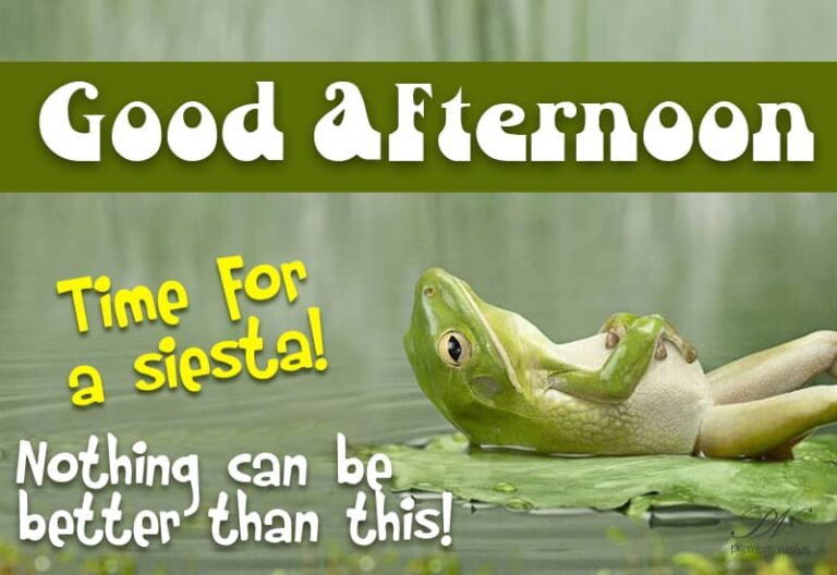 Good Afternoon Wishes