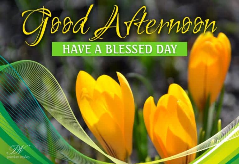 Good Afternoon Wishes