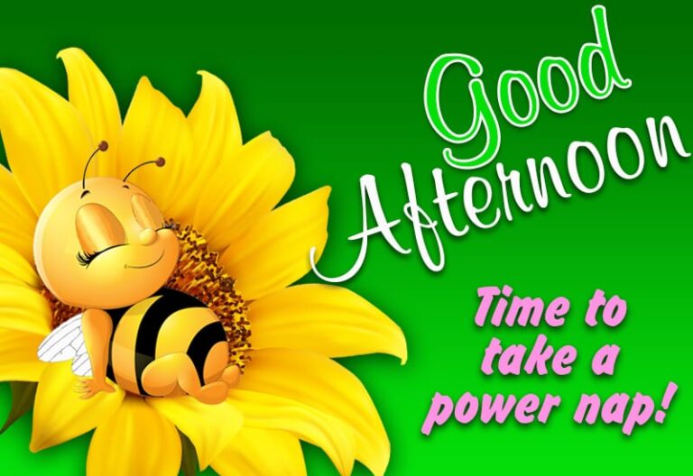 Good Afternoon Wishes