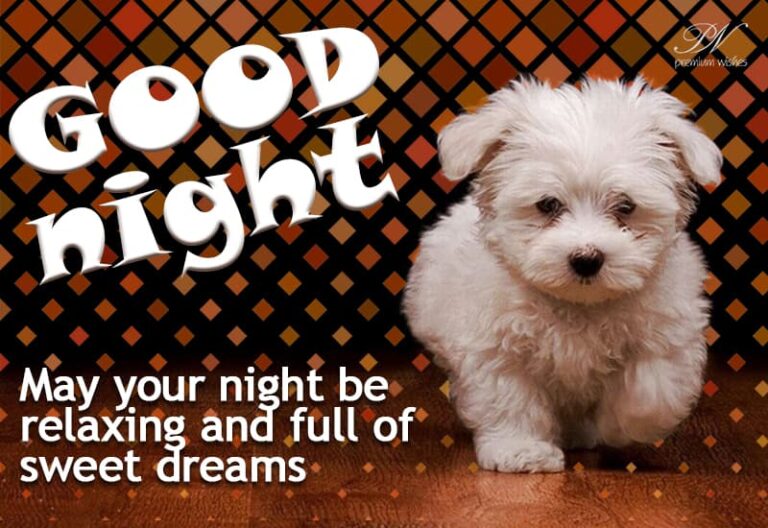 Good Night Wishes