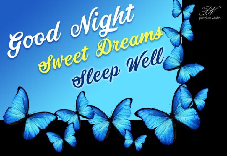 Good Night Wishes