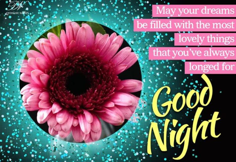 Good Night Wishes