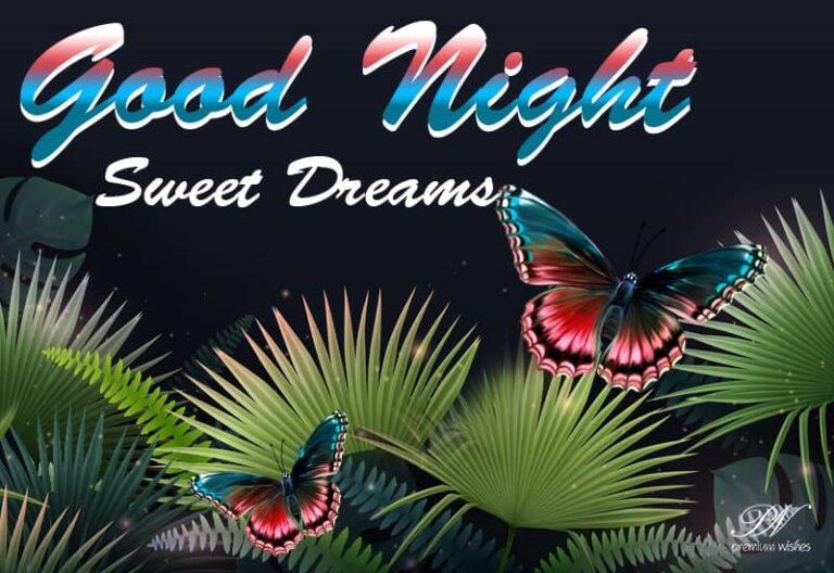 Good Night Wishes