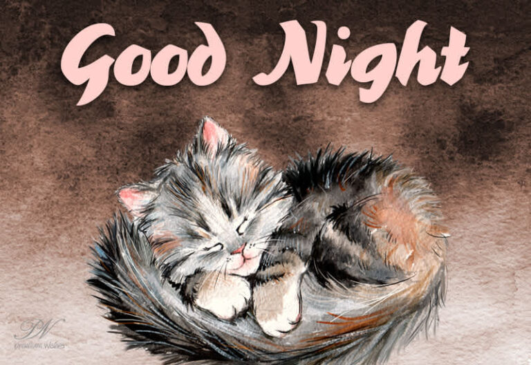 Good Night Wishes