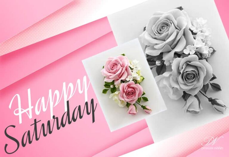 Happy Saturday Friends