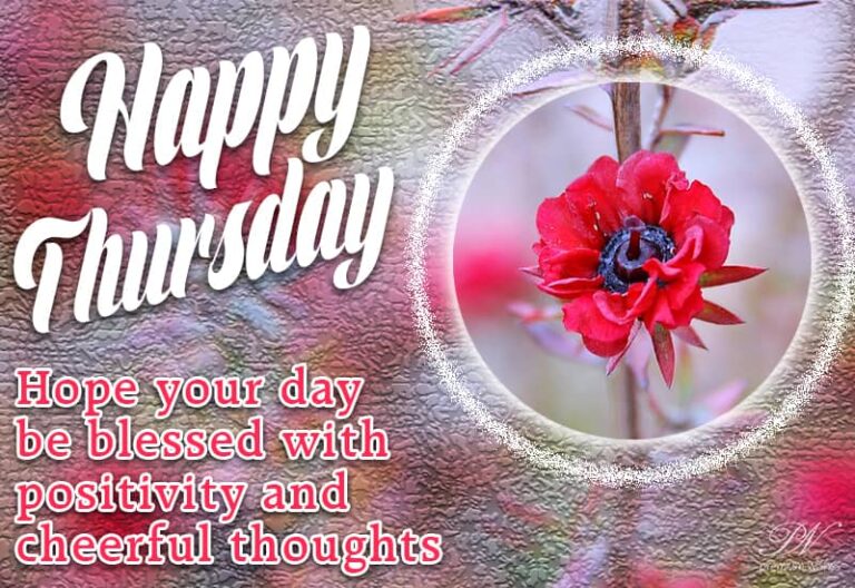 Happy Thursday – Hope your day be blessed with positivity and cheerful thoughts