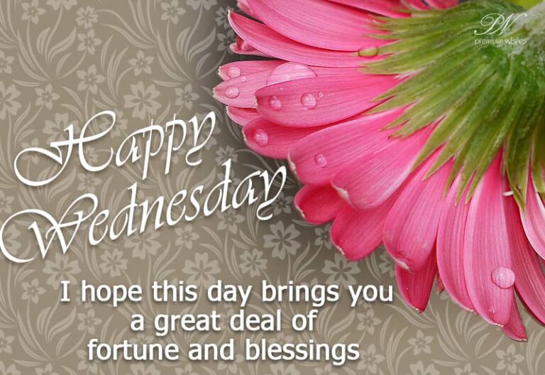 Happy Wednesday – I hope this day brings your a great deal of fortune and blessings