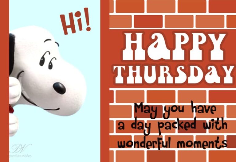 Happy Thursday – May you have a day packed with wonderful moments