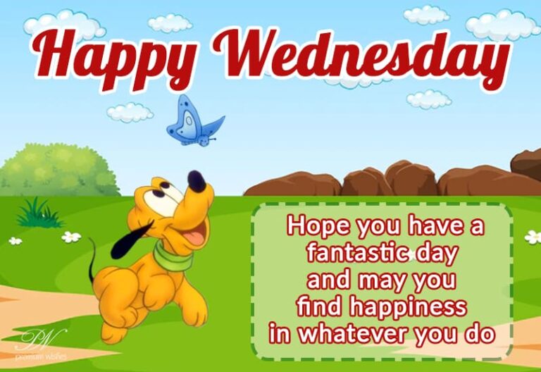 Happy Wednesday – Hope you have a fantastic day and may you find happiness in whatever you do