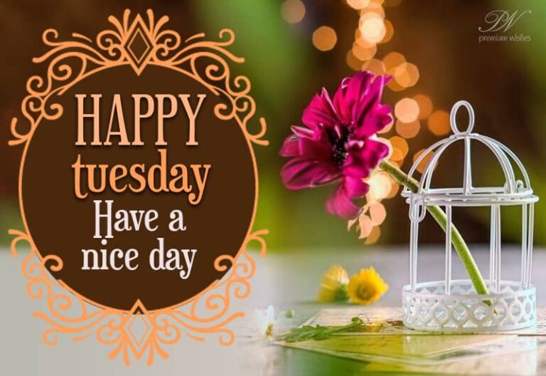 Happy Tuesday – Have a nice day ahead friends