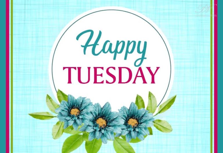 Happy Tuesday Friends – Hope you have a safe day