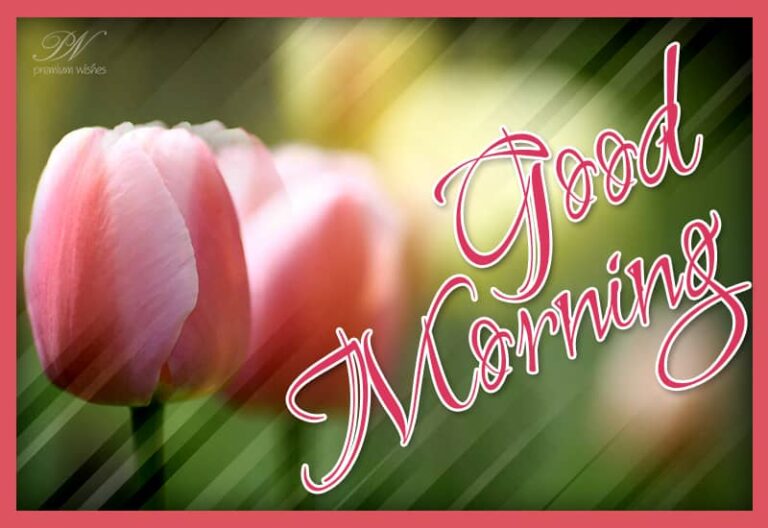 Good Morning Friends  – Be amidst nature and enjoy the sunshine