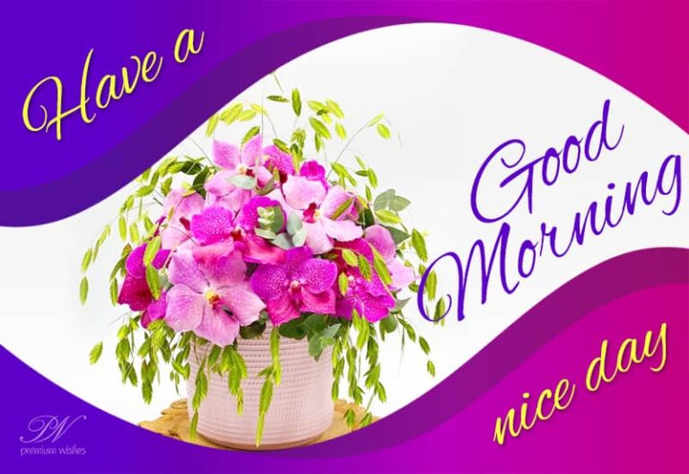 Have a nice day – Good Morning